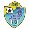 广西恒宸logo